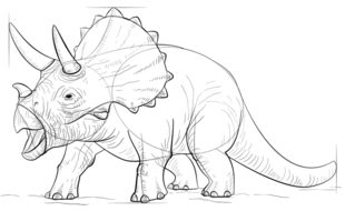 Dinosaurier - Triceratops zeichnen lernen schritt für schritt tutorial 8