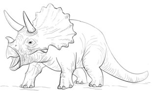 Dinosaurier - Triceratops zeichnen lernen schritt für schritt tutorial 9