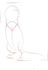 Eichhörnchen zeichnen lernen schritt für schritt tutorial 3
