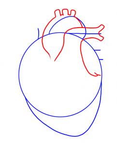 Herz zeichnen lernen schritt für schritt tutorial 2