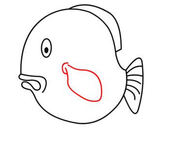 Fisch zeichnen 13