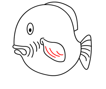 Fisch zeichnen 15