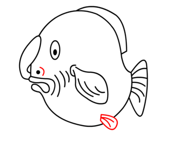 Fisch zeichnen 17