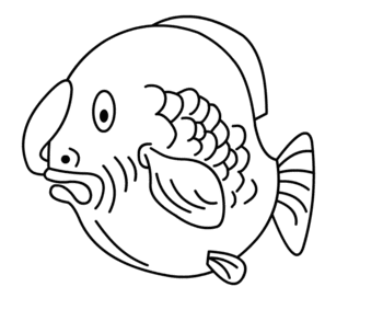 Fisch zeichnen 19