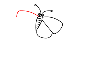 Schmetterling zeichnen 11