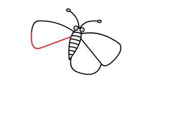 Schmetterling zeichnen 12