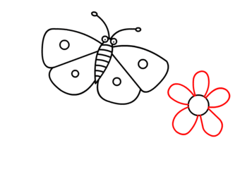 Schmetterling zeichnen 16