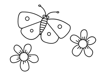 Schmetterling zeichnen 21