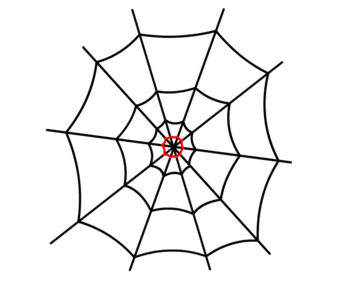 Spinnennetz zeichnen 11