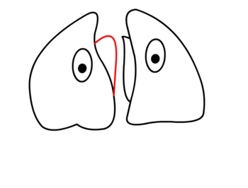Lungen zeichnen 10