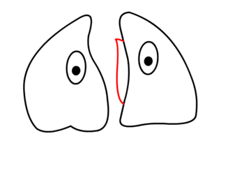 Lungen zeichnen 9
