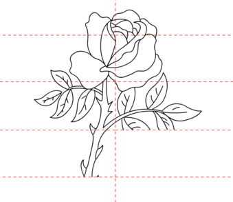 Rosen zeichnen 7