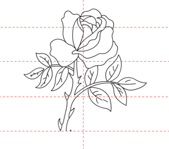 Rosen zeichnen 8