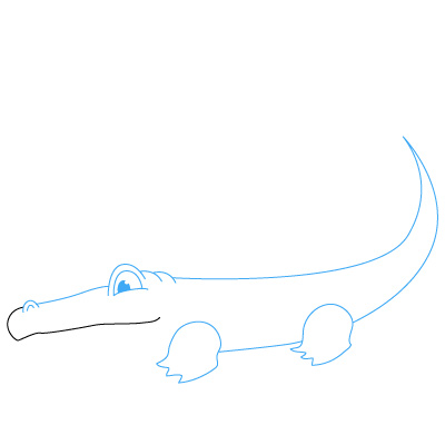 Alligator zeichnen 13