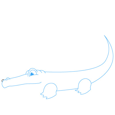 Alligator zeichnen 14