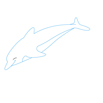 delfin zeichnen 10