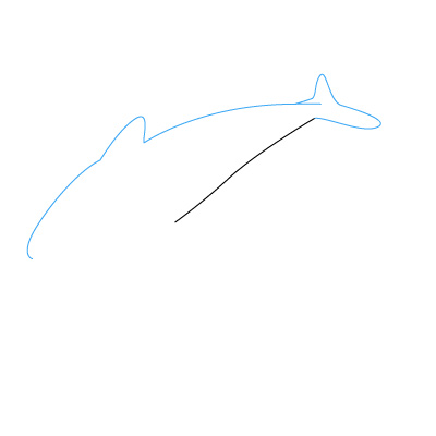 delfin zeichnen 5