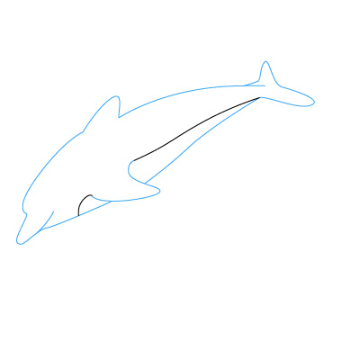 delfin zeichnen 9