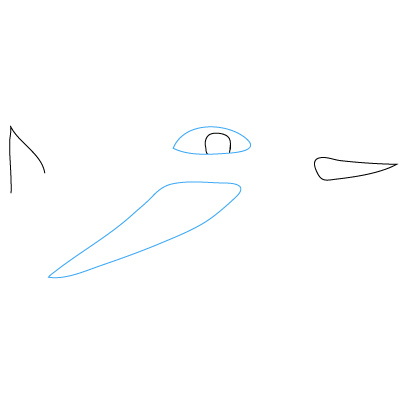 Segelflugzeug zeichnen 2