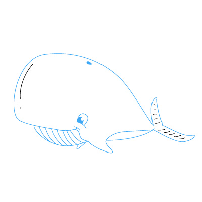 Wal zeichnen lernen schritt für schritt tutorial - Zeichnen leicht gemacht