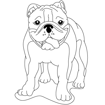 Hund Bulldoge zeichnen 19