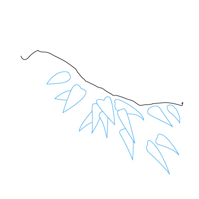 Ast mit Blättern zeichnen 9