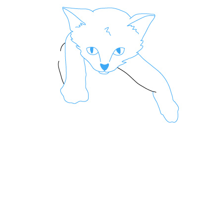 Katzenbaby zeichnen 11