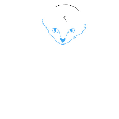 Katzenbaby zeichnen 7