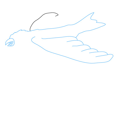 Adler zeichnen 10