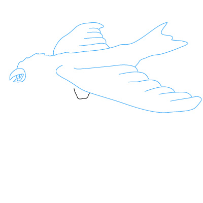 Adler zeichnen 13