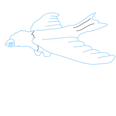 Adler zeichnen 16
