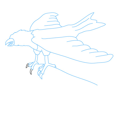 Adler zeichnen 28