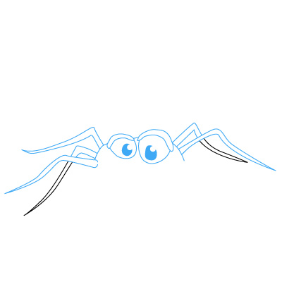 Spinne zeichnen 8