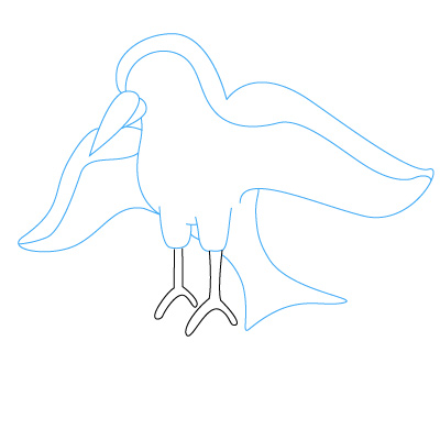 Vogel zeichnen 12