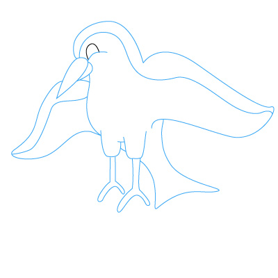 Vogel zeichnen 14