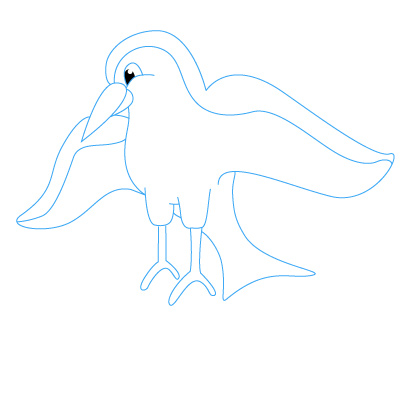 Vogel zeichnen 15