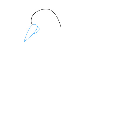Vogel zeichnen 3