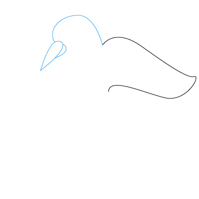 Vogel zeichnen 4