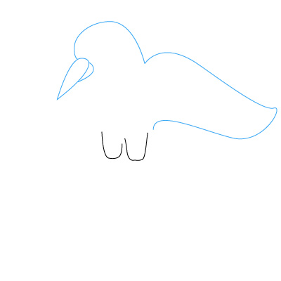 Vogel zeichnen 5