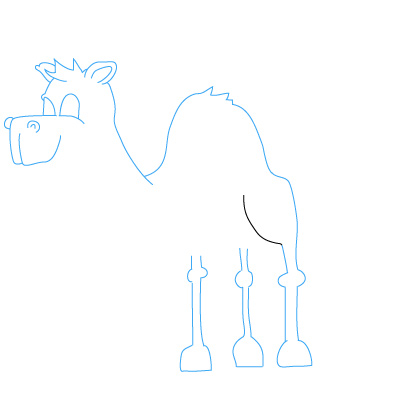 Kamel zeichnen 17