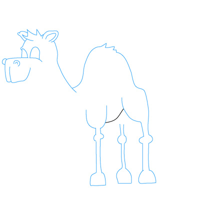 Kamel zeichnen 19