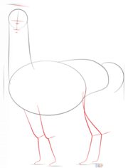 Alpaka zeichnen lernen schritt für schritt tutorial 3