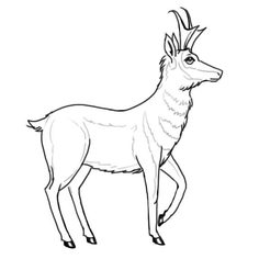 Antilope zeichnen lernen schritt für schritt tutorial 7
