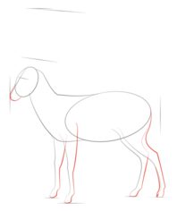 Antilope 2 zeichnen lernen schritt für schritt tutorial 4