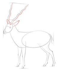 Antilope 2 zeichnen lernen schritt für schritt tutorial 6