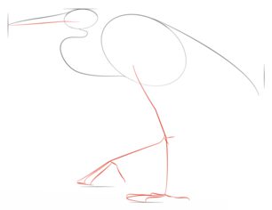 Fischreiher 2 zeichnen lernen schritt für schritt tutorial 3