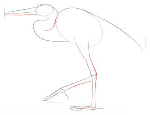 Fischreiher 2 zeichnen lernen schritt für schritt tutorial 4