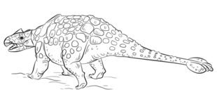 Dinosaurier - Ankylosaurus zeichnen lernen schritt für schritt tutorial 8
