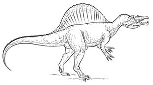 Dinosaurier - Spinosaurus zeichnen lernen schritt für schritt tutorial 9