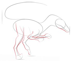 Dinosaurier -  Velociraptor zeichnen lernen schritt für schritt tutorial 4
